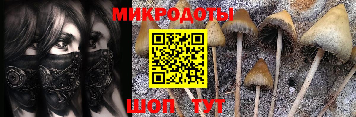 Карталы  Галлюциногенные грибы мухоморы  Вход с VPN 